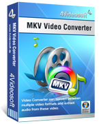 4Videosoft MKV Video Converter