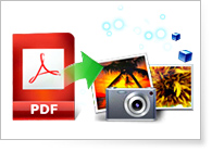 PDF in Bild konvertieren