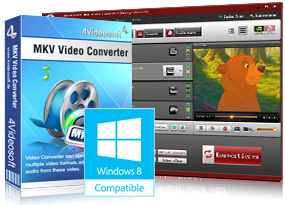 MKV Video Converter