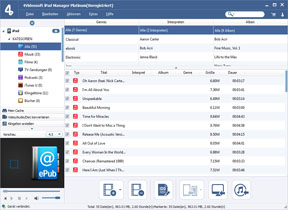 iPad Manager Platinum Screen
