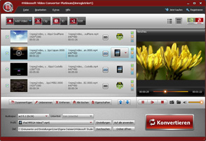 Video Converter Platinum Screen