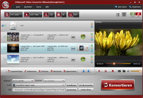 Video Converter Ultimate Screen