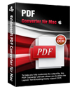 PDF Converter