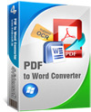 PDF to Word Converter