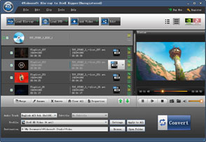 Blu-ray zu DivX Ripper Screen