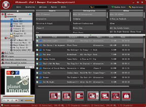 iPad 2 Manager Platinum Screen